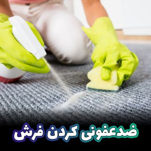 ضدعفونی کردن فرش | ضدعفونی فرش در منزل | ساخت محلول ضدعفونی