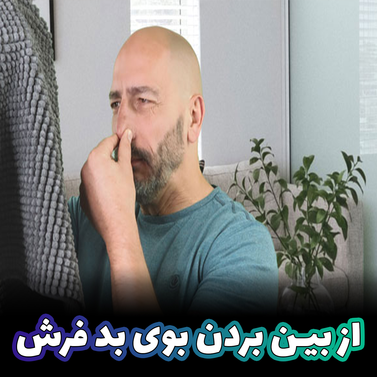 12 روش از بین بردن بوی بد فرش مواد خانگی برای رفع بوی فرش