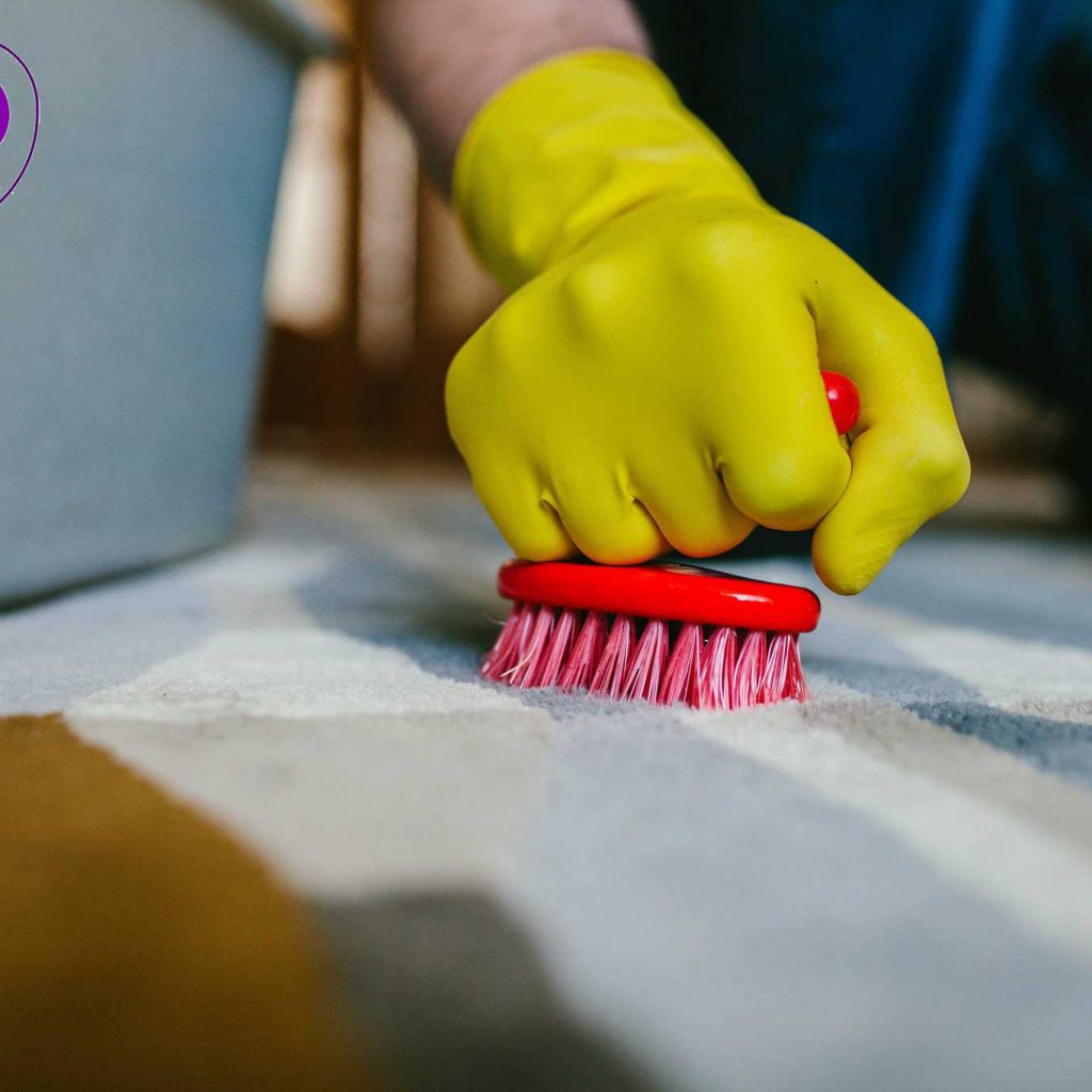 پاک کردن ادرار از روی فرش