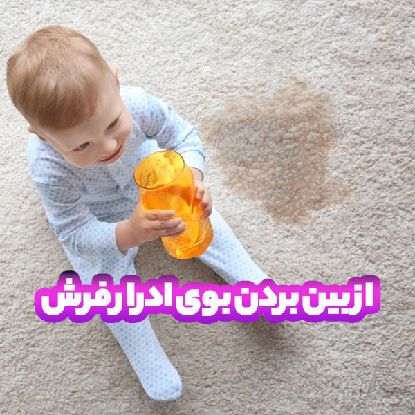 رقع بوی بد ادرار
